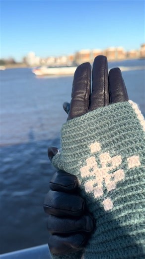 Apple Blossoms Fingerless Gloves Mosaic Crochet Pattern