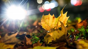 Schauer, Gewitter, Sonne: Wochenende bietet komplettes Herbstprogramm