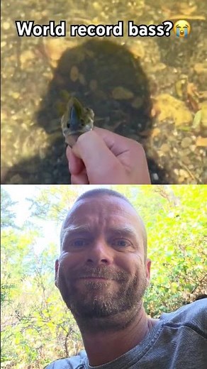 world record fish largest bass in world
