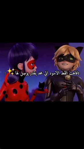 تفاهت القط الاسود الي محد يقدر يوصل لها✨:#الدعسوقة_و_القط_الاسود