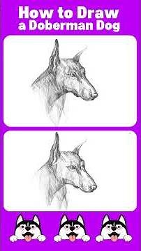 How to Draw a Doberman Dog | Easy Step-by-Step Drawing for Beginners