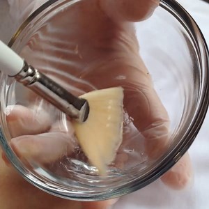 InUse-CB-SG-Mix-Apply