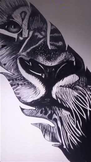 24 hours lion drawing