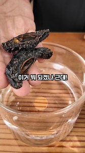 1kg 150만원 건해삼과 내가 만든 건해삼 물에 불려봤더니 대박! #해삼 #건해삼 #수산물 #수산물비교 | 최명환