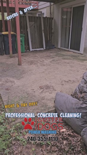 Power Washing Service Lanham MD | GutterDogs Concrete Cleaning Experts