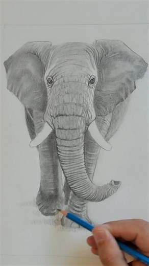 4.1K views · 53 reactions | Grab my FREE Drawing Minicourse for Beginners — I’ll walk you through the same concepts from this tutorial, step-by-step, in real time. You’ll finish with a drawing you can feel proud of! ✍️ Click the link below to get access!  www.iamshaneburke.com/minicourse  #freeclass #learntodraw #beginner #drawingtutorial #howtodraw | Iamshaneburke | Facebook