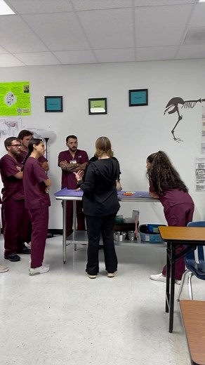 Learn the necessary skills to become a veterinary assistant. https://www.southerntech.edu/programs/school_of_veterinary/diploma/veterinary-assisting/ | Southern Technical College