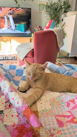 Maechen Marie on Instagram: "✨✨✨"