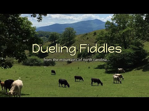 Johnny Gimble & Benny Martin - Dueling Fiddles