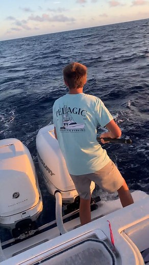 7.8K views · 96 reactions | Zebra on deck! 煉  Next Chapter Charters #keywest #florida #fishing #wahoo #fishingbooker | FishingBooker | Facebook