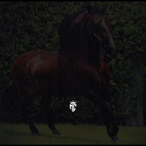 73K views · 2.5K reactions | Bohemio de afición - Los Rayos De México | Letras.mc | Facebook