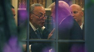 Schumer on hot mic: Trump likes me
