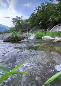 🌿🌾🍃🌾🌿🌾🍃 | Nature