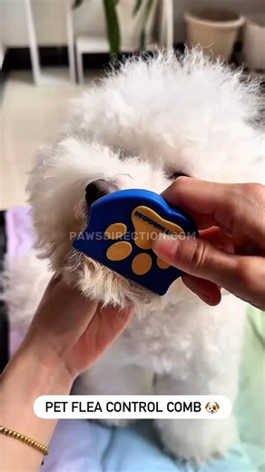 Our Flea Control Comb is designed to gently remove fleas, tangles, and debris 🤗 | Poodle Union