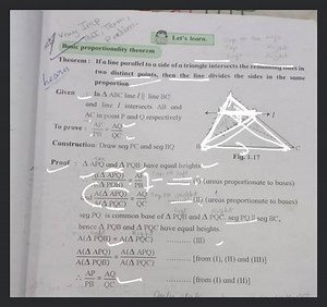 Let's learn.Basic proportionality theoremTheorem: If a line ... | Filo