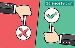 Negatif Kesirler Nasıl Karşılaştırılır 💫 Bilimsel Ve Popüler Multimedya Portalı. 2025
