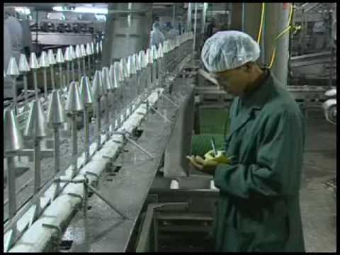 U.S. Poultry Quality Control and Food Safety