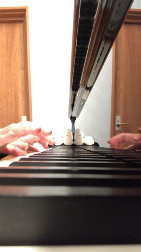 【ピアノ】Moszkowski 15 Etudes de virtuosite pour piano Op.72 No.5 vol.4モシュコフスキー 15の練習曲 No.5 vol.4