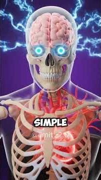 Can Too Much Gaming Damage Your Brain?