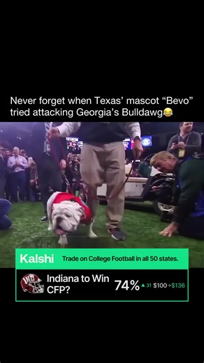 That's The Scene on Instagram: "Click the link in bio to claim $10 with code CFP10 This needs to added into CFB 25’ In a memorable incident during the 2019 Sugar Bowl, the University of Texas Longhorns’ mascot, Bevo XV, attempted to charge at the University of Georgia’s mascot, Uga X. The incident took place during a pre-game photo-op when Bevo, a massive longhorn steer, suddenly lunged toward Uga, a small English bulldog. Handlers quickly intervened to restrain Bevo, and fortunately, no one, in