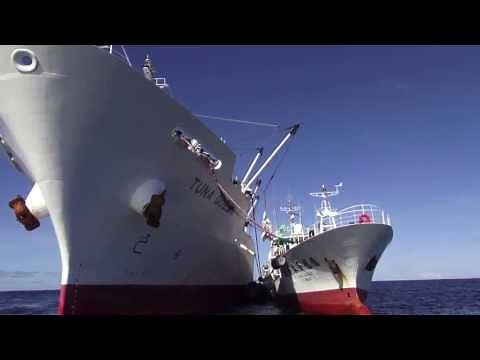 Tuna: Transhipment, Transparency