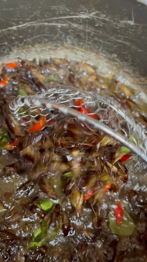 Cooking with Crickets: A Unique Insect Recipe