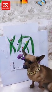 9.2K reactions · 150 shares | A talented dog (狗 gǒu) became a sensation for his painting skills. The little cute pooch held a brush in his mouth to paint (画 huà) his artworks. | Learn Chinese | Facebook