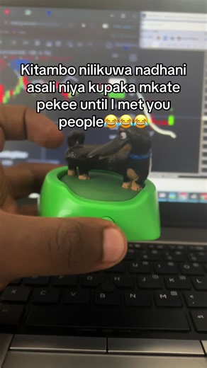 Discovering Unconventional Uses for Honey