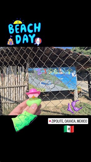 Adventure Ducky on Instagram: "Beach day at #zipolite in Oaxaca - Clothing opcional. #AdvDucky #rubberduck #travelduck"