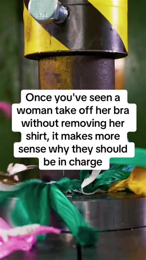 The Art of Discretion: A Unique Perspective on Bra Removal