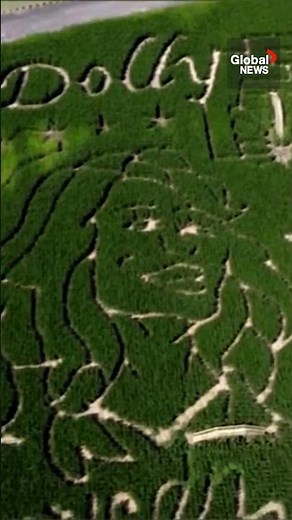 Dolly Parton, “an American treasure”: A local farm’s elaborate corn maze honours late star