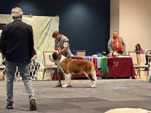 22K views · 912 reactions | Amazing moments yesterday from the 2025...