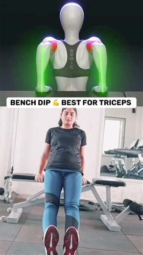 Bench Dips 💪 Best for Triceps 🔥 #triceps #workout #fitnessmotivation #shorts