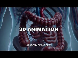 Arterial blood supply of the colon (3D animation)