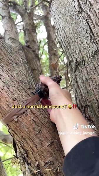 Could you find a cache like this? | Hidden geocaches like these are hidden everywhere around you, go get one near you!#geocaching #fyp #hidden