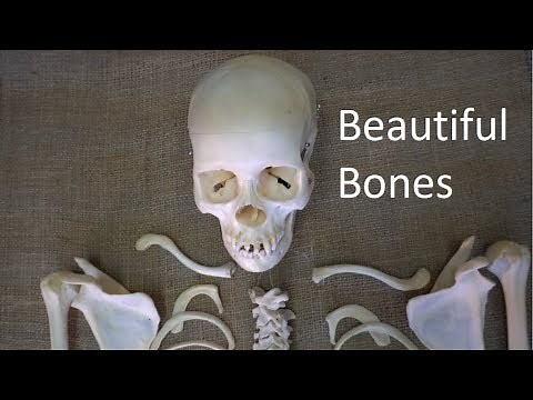 Beautiful Bones