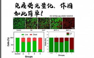 ImageJ 免疫荧光量化