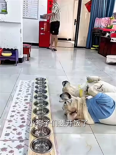 Emotional Sacrifices Parents Make for Their Kids