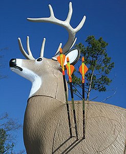 Arrow Speed vs. Penetration: What Matters For Most Bowhunting? - North American Whitetail