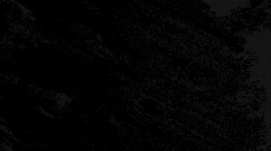 Film Scratches Overlay