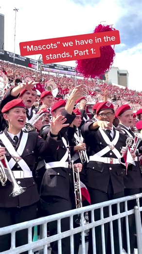 Ohio State Mascots: From Traditional to Wacky