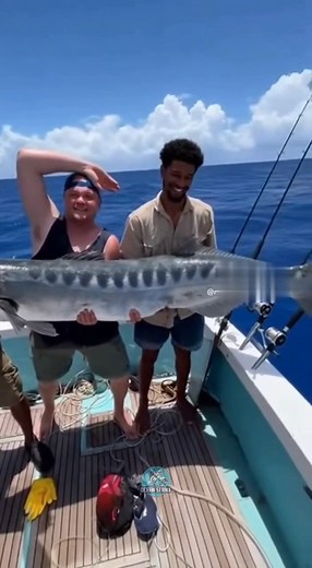 Ocean Strike on Reels