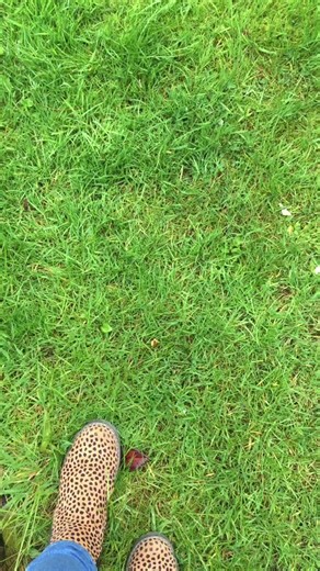 Fidget hunting! 🤎✨ #fidgethunting🛍 #fidgets✨ #viral⚡️ #popits🤍 #dimpls💛