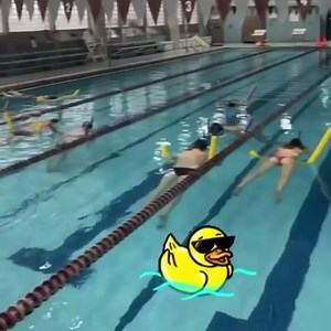 3.4K views · 36 reactions | Visualization with pool noodles during taper? Sounds like fun! @stevensswimming - via @_kaiwong_ #swimming #swim #swimmer #taper #visualize #noodles #ncaa #besttimeoftheyear | SwimSwam | Facebook