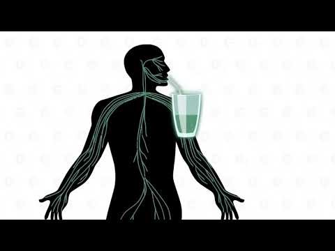 New Spectrum Labs' BioFulmate Enhanced Bio-Absorption Explained