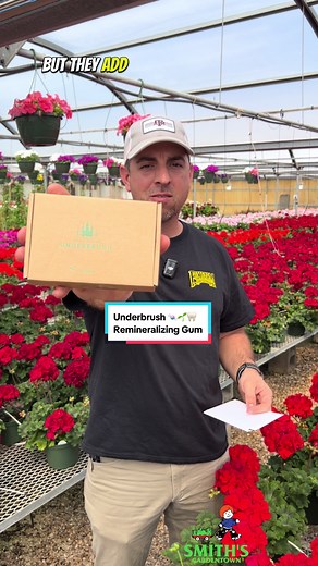 Get ready to treat your taste buds with Underbrush's new chewing gum from @Nathan And Sons! 🌿 Dive into the fresh, natural flavors that make each chew a burst of goodness. Head over to tryunderbrush.com and experience the deliciousness for yourself! 🌱🍬#smithsgardentown #naturalchew #underbrushgum #resingum #allnatural #plantbased #sugarfree #organic #madeinusa #nathanandsons #underbrush #remineralizeyourteeth