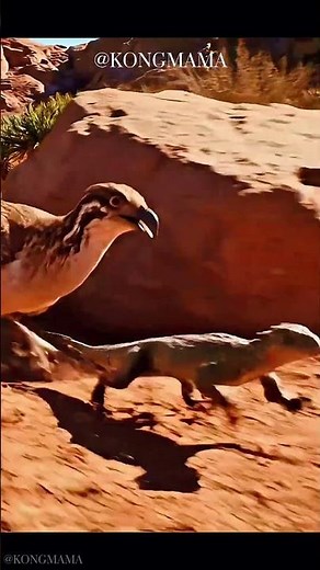 Primordial Speed: Desert Predator Bird Races Across Arid Landscape in Epic Hunt #desertwildlife
