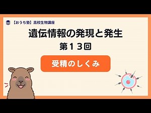 【生物】受精の流れを５分で解説！第１３回