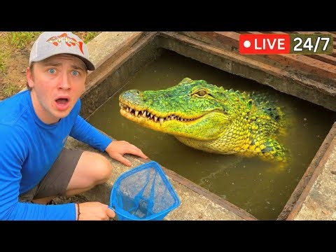 Bass fishing Productions LIVE: February Week 2 | Stream Highlights