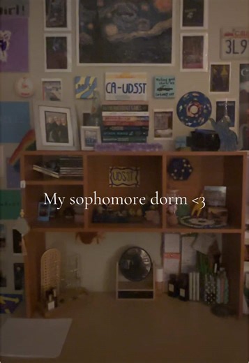 Exploring Room 253: A Sophomore Dorm Tour